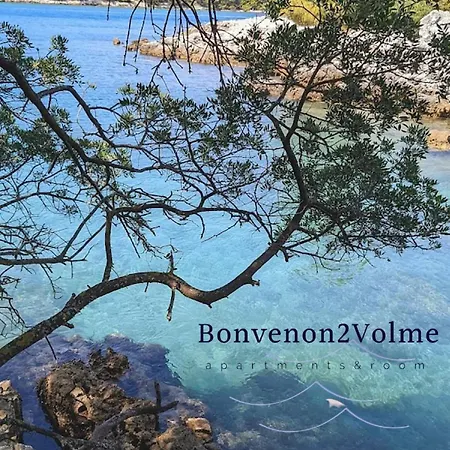 Bonvenon2volme Apt&room Apartment *
